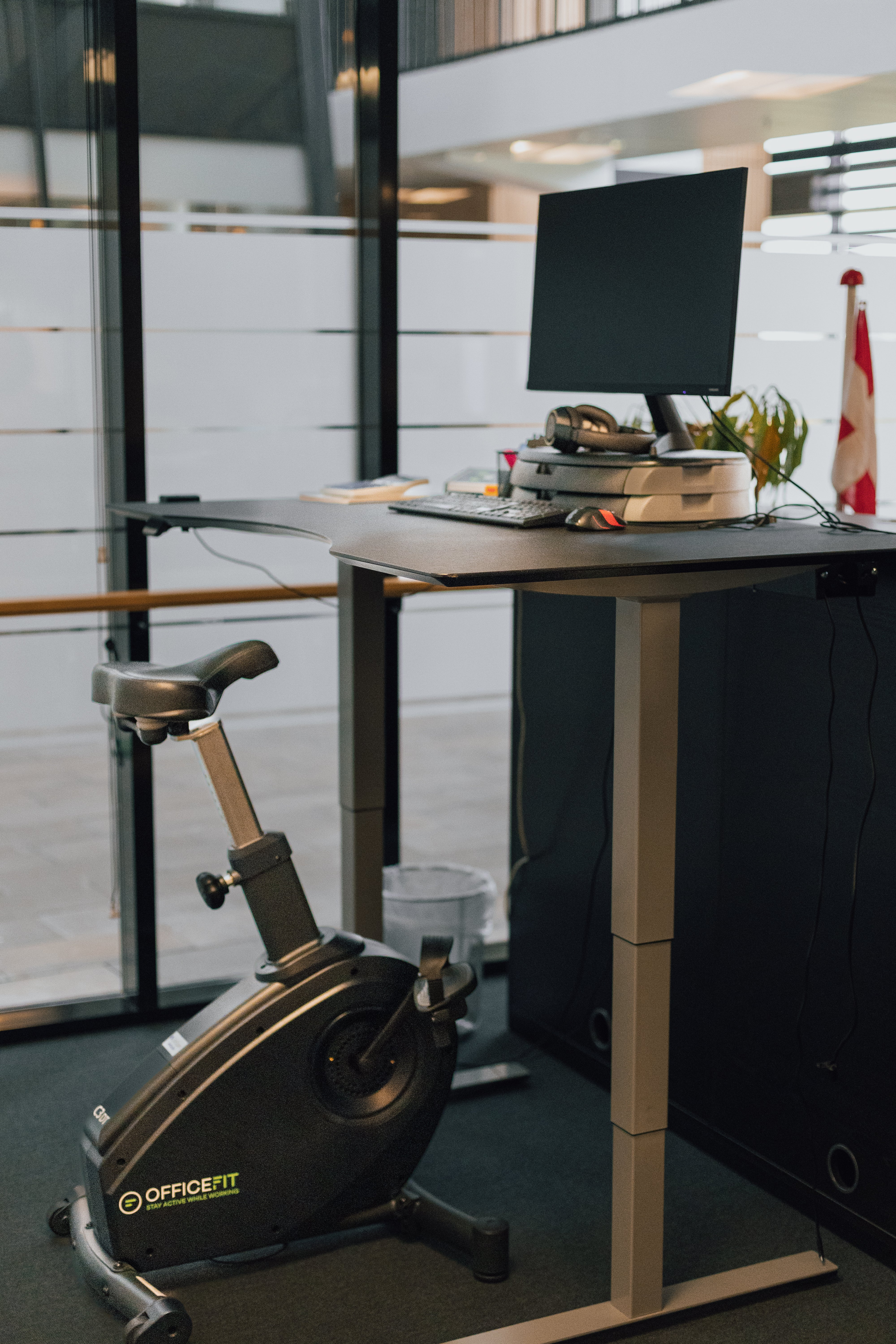 LIfeSpan Desk Bike C3-DT