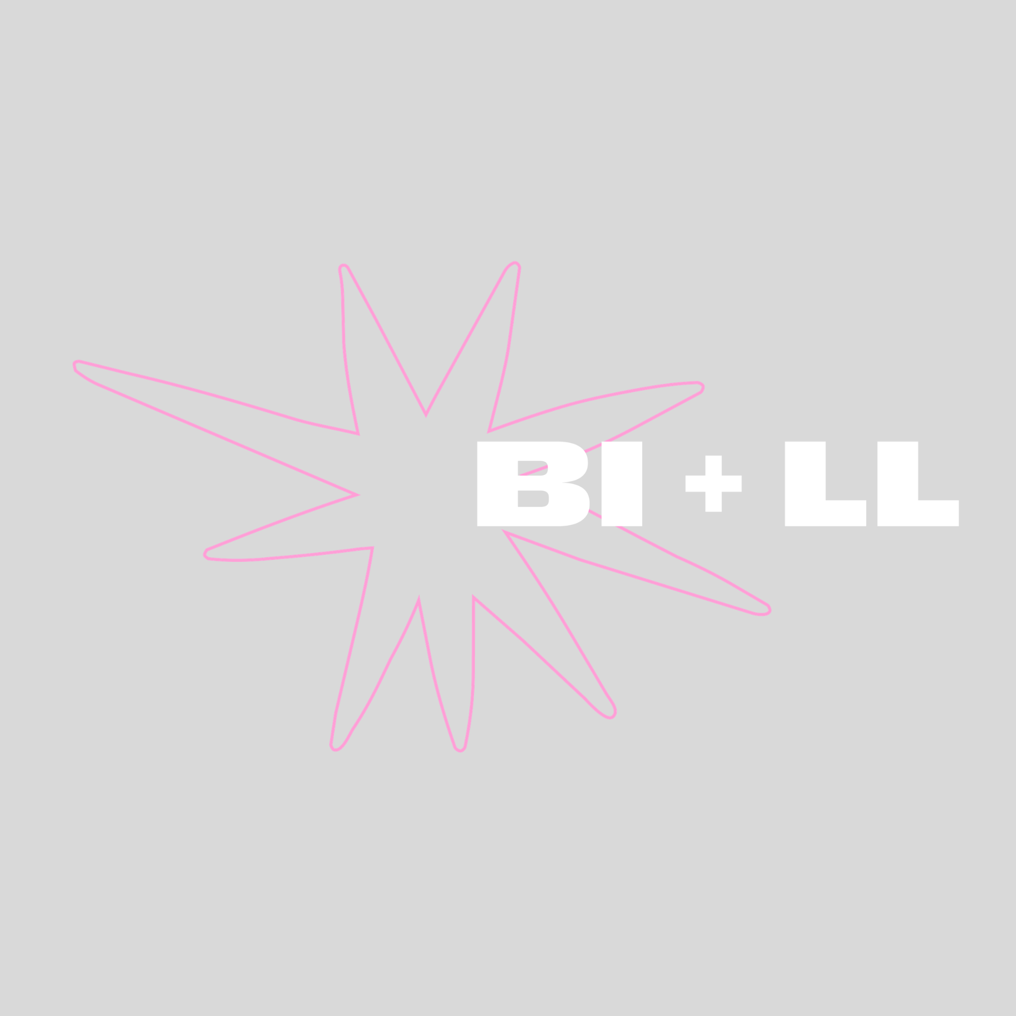 BI+LLs Personlige Webshop