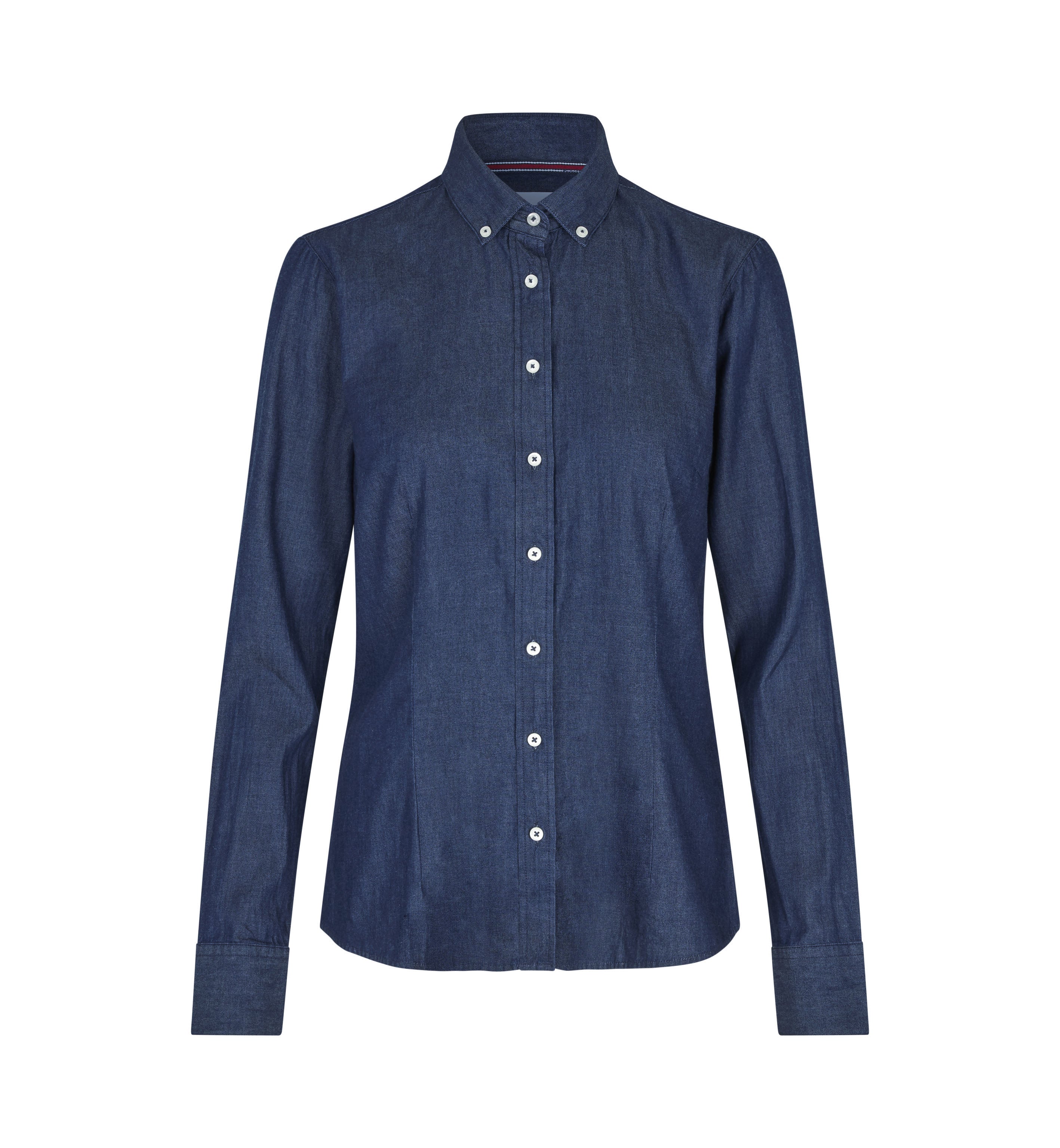 Indigo, 4XL