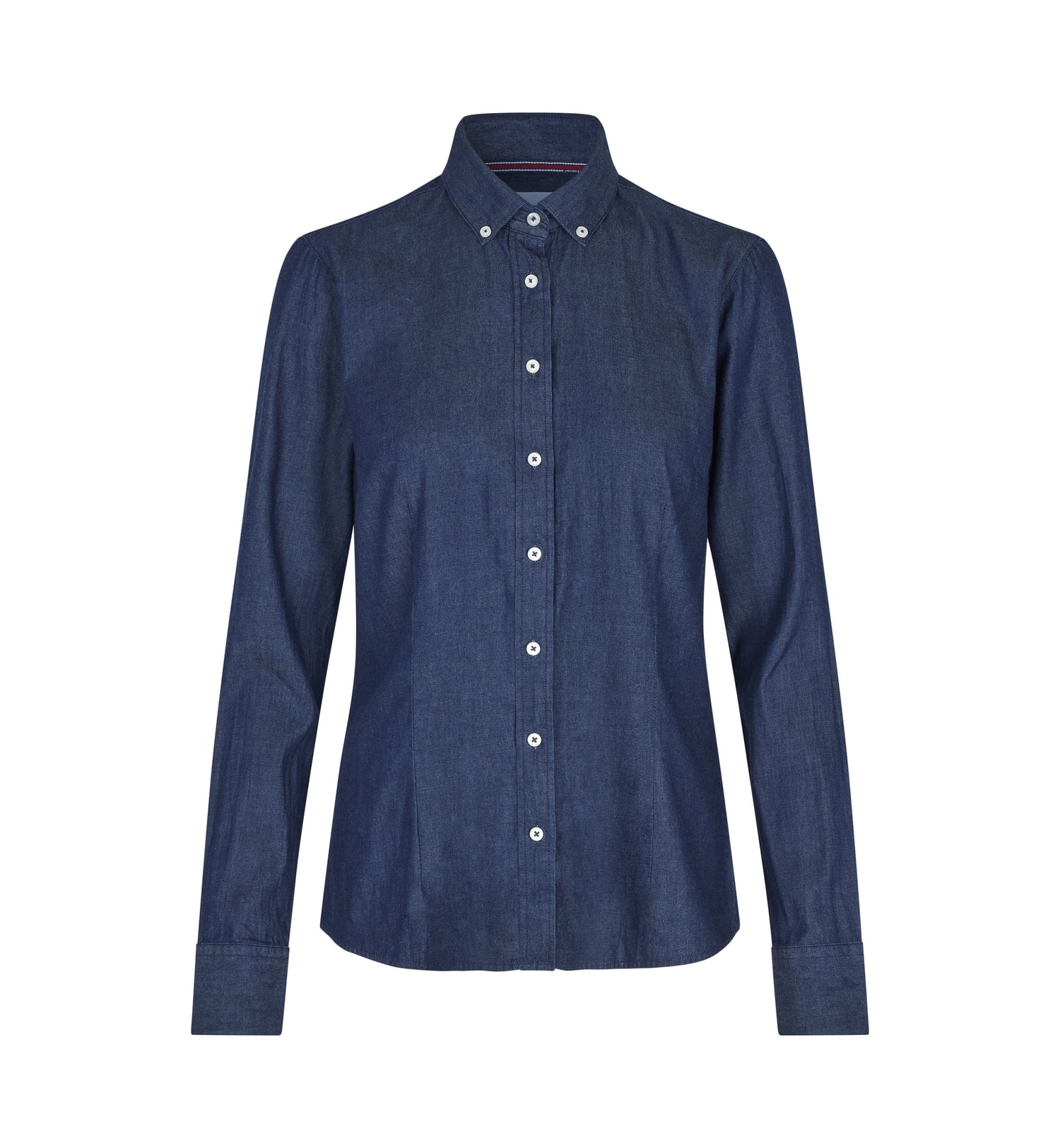 Indigo, 4XL